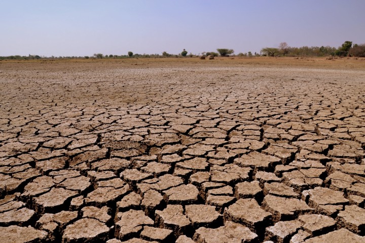 75% des sols de la planète sont dégradés